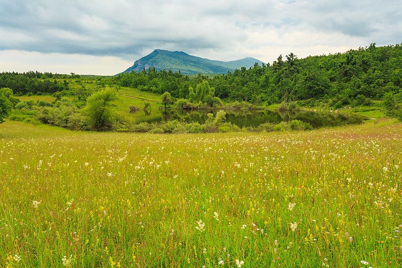 File:Rtanj - Vrmdzansko jezero 01.jpg