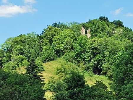 Ruine Neckarburg