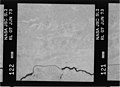 Kodak B&W infrared film with 700-800 nm bandpass filter