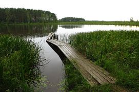 Saarõpää järv