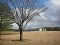 2016年1月8日 (金) 05:52時点における版のサムネイル