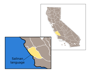 Salinan