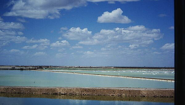 Salt harvesting in Golmud (Qinghai) in summer 1993