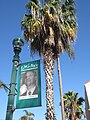 Little Italy street banner