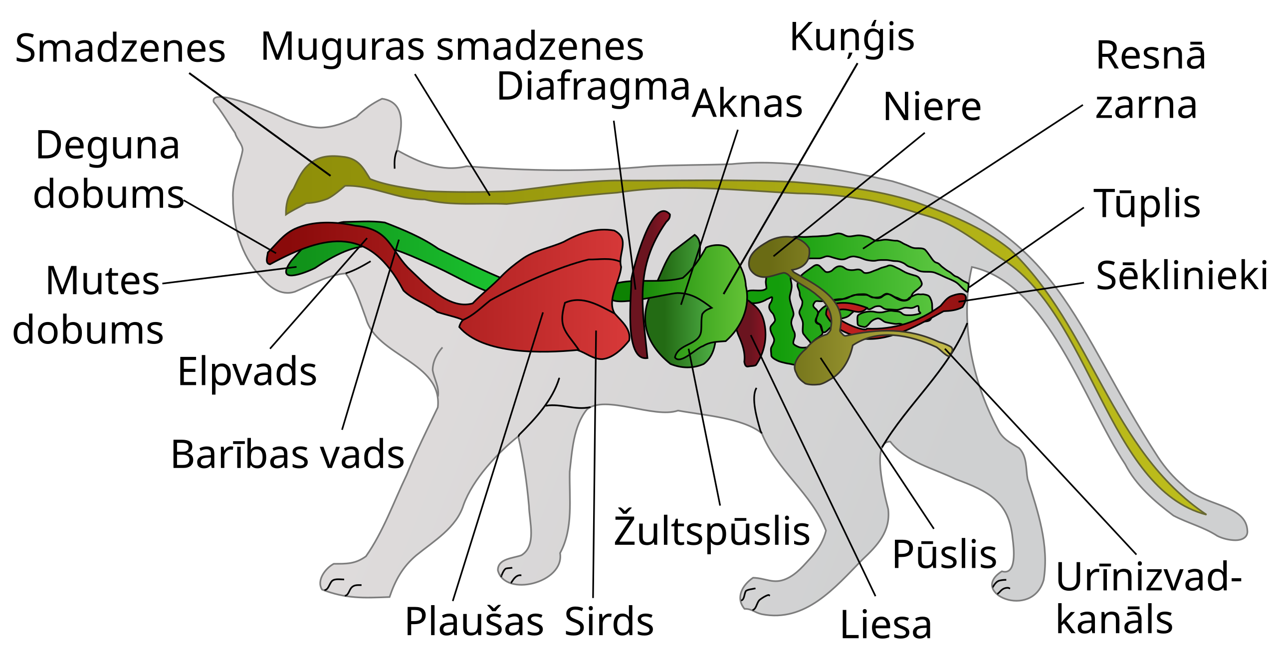 File:Creative-Tail-Animal-cat.svg - Wikimedia Commons