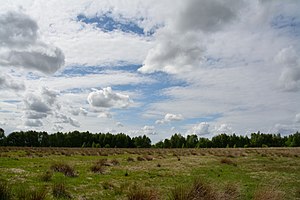 Schleswig-Holstein, Moordiek, Auufer, FFH-Gebiet Moore der Breitenburger Niederung NIK 4404.JPG