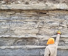 Lighter, thicker Shellrock bed over the darker shales of the Jetmore Shellrock bed, top of the Jetmore Chalk 20171229 cropped.jpg