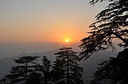 Sonnenuntergang über Shimla vom Weg zum Jakhu-Tempel aus.