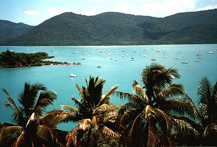 View of vessels in Shute Harbour, 2000 Shute Harbour 2.JPG