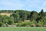 Geschützter Landschaftsbestandteil Siepen bei Lichtenböcken