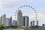 新加坡摩天观景轮的缩略图