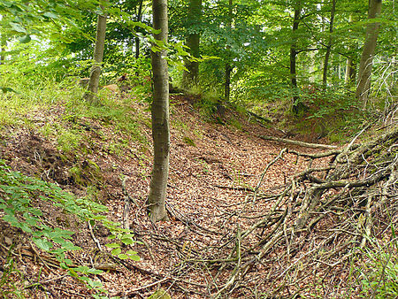 Spiegelburg Münden Graben