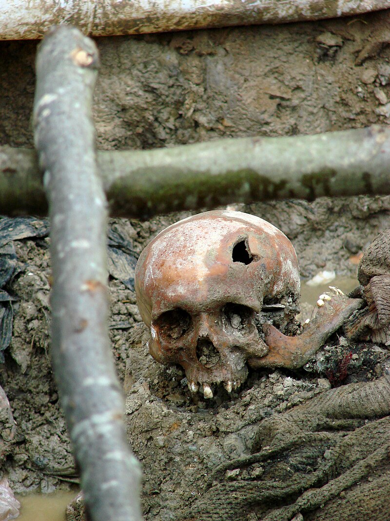 800px-Srebrenica_Massacre_-_Massacre_Victim_2_-_Potocari_2007.jpg