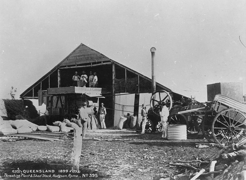 File:StateLibQld 2 112456 Threshing plant and shed stack in Hodgson, 1899.jpg