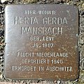 Stumbling block for Herta Gerda Mansbach geb.  Levi