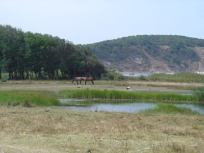 Парк и река Велека у позадини
