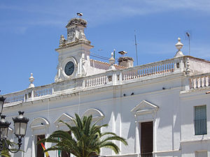 Town hall with stork nests