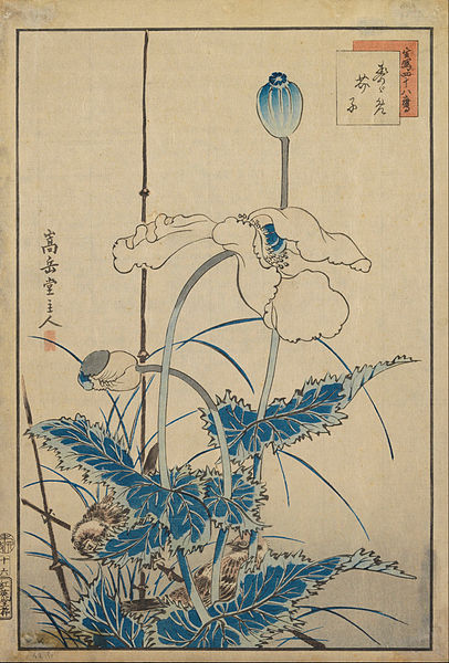 File:Sugakudo - Bird over Poppies - Google Art Project.jpg