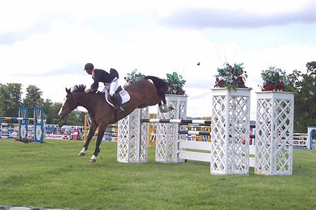 Surrey county show 20040531