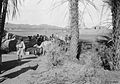 T E Lawrence and the Arab Revolt 1916 - 1918 Q58734.jpg