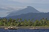 Tangkoko, Sulavezi