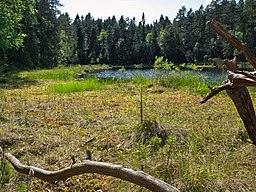 Svarttjärnen i Svarthavets naturreservat