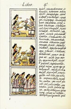 The Florentine Codex- Life in Mesoamerica IV.tiff