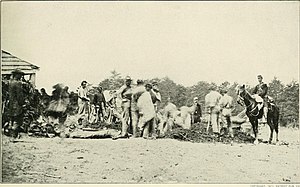 The photographic history of the Civil War - thousands of scenes photographed 1861-65, with text by many special authorities (1911) (14576361887).jpg