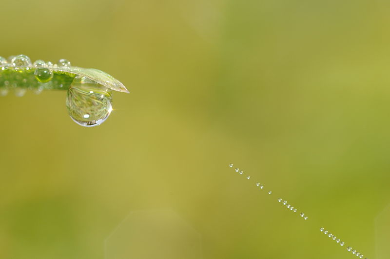 File:Thomas Bresson - Water droplet-6 (by).JPG