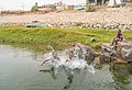 Three kids playing with water.jpg