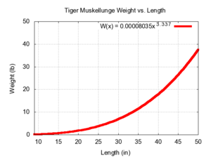 Muskie Size Chart