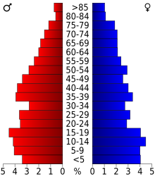 Диаграмма, представляющая население округа по возрастным группам.  Красным слева - женщины, синим - справа - мужчины.