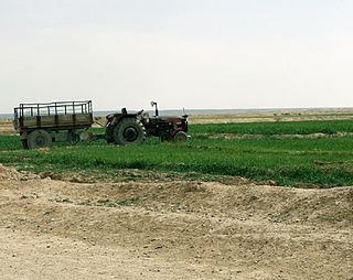 <span class="mw-page-title-main">Al Ubaidi</span> Place in Al Anbar, Iraq