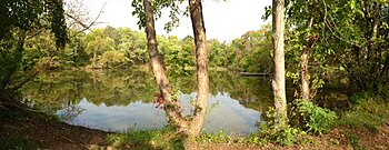 View of Pig Pen Pond in CERA, used for student recreation. University of Maryland, Baltimore County landscape.JPG