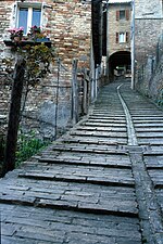 Urbino: Geografia fisica, Origini del nome, Storia