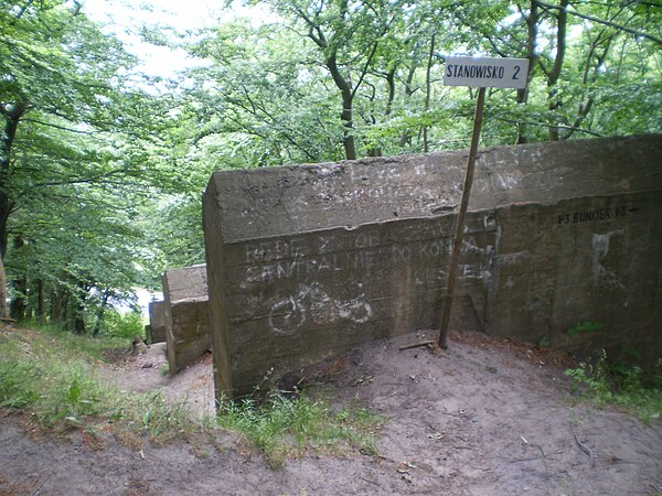 Remains of V-3 in Zalesie near Misdroy, Wolin Island, Poland (2008)