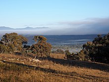 Canberra Nature Park Wikipedia