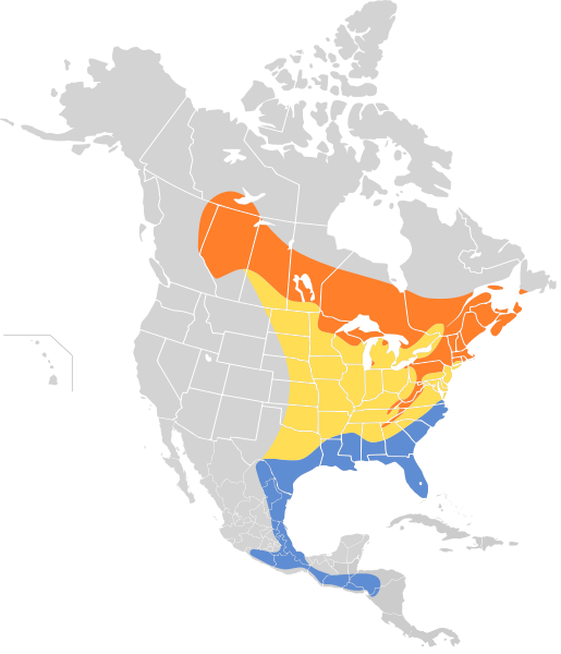 File:Vireo solitarius map.svg