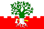Vlajka obce Buk.gif