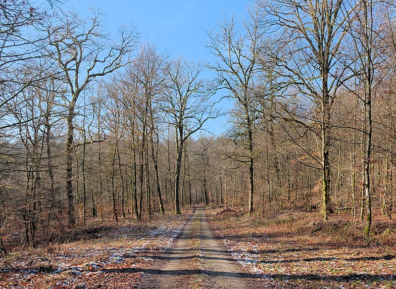 File:Walking path in Parc naturel de Gaume (DSCF7205).jpg