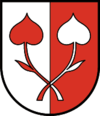 Wappen von Kessn Kössen