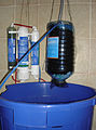 Wasseraufbereitung für Prachtguramis.jpg