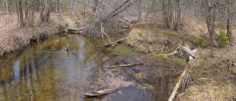 File:West Duffins Creek.jpg