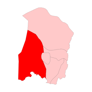 <span class="mw-page-title-main">Western Angami Assembly constituency</span> Legislative Assembly constituency in Nagaland State, India