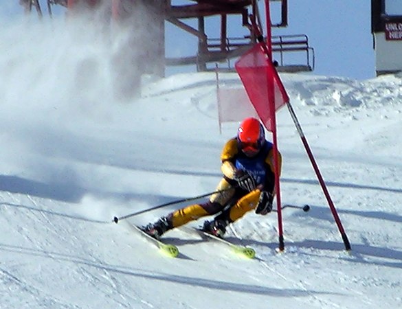 Giant Slalom Ski Racer