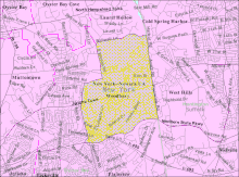 U.S. Census map of Woodbury. Woodbury-ny-map.gif