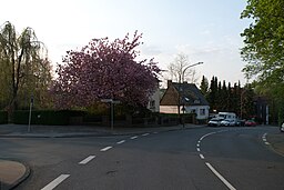 Wuppertal Nützenberger Straße 2018 098