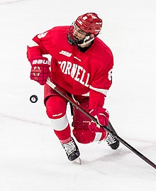 Yanni Kaldis, Cornell ice hockey.jpg