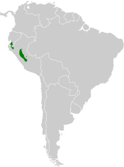 Distribución geográfica del mosquerito peruano (incluyendo Z. v. flavidifrons).