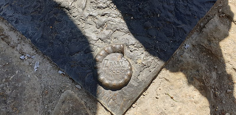 File:'Mary Anning Rocks' campaign logo.jpg